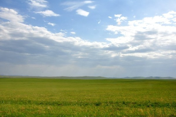 内蒙古乌拉盖管理区人民医院人力资源管理咨询项目全面启动